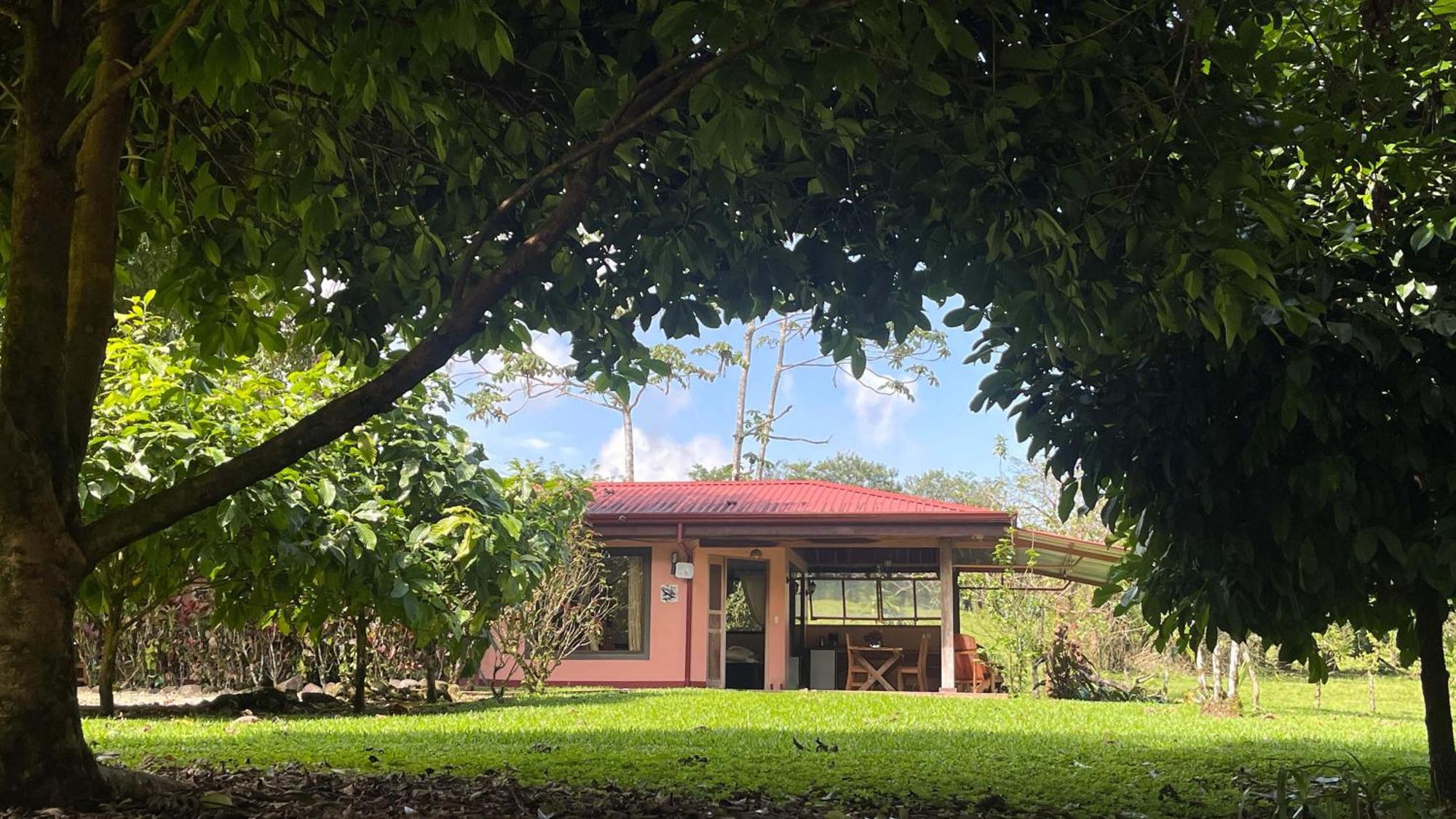 Mei Tai Cacao Lodge Bijagua Bagian luar foto