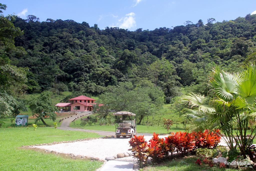 Mei Tai Cacao Lodge Bijagua Bagian luar foto