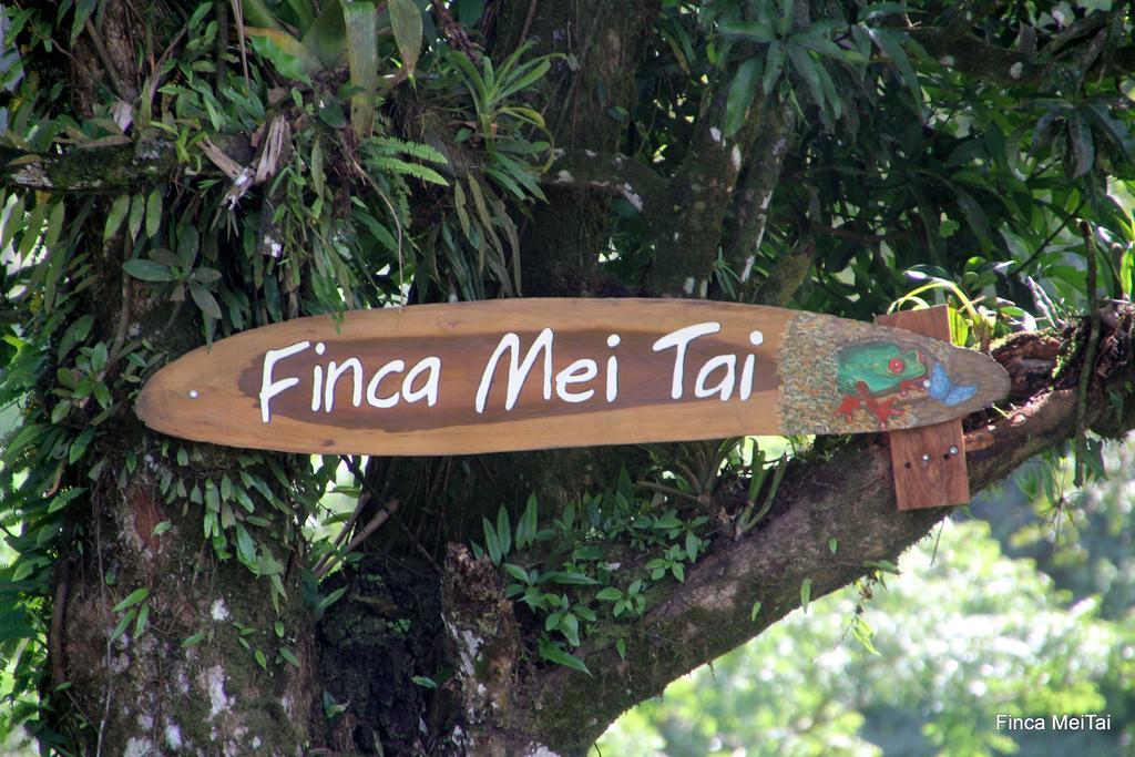 Mei Tai Cacao Lodge Bijagua Bagian luar foto