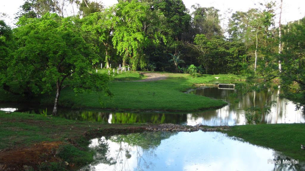 Mei Tai Cacao Lodge Bijagua Bagian luar foto
