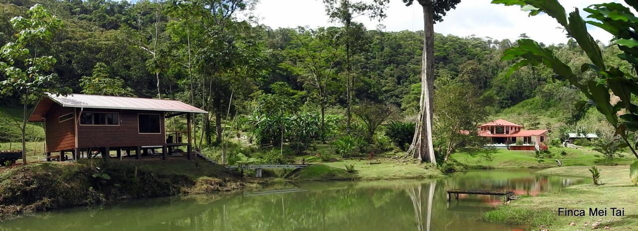 Mei Tai Cacao Lodge Bijagua Bagian luar foto