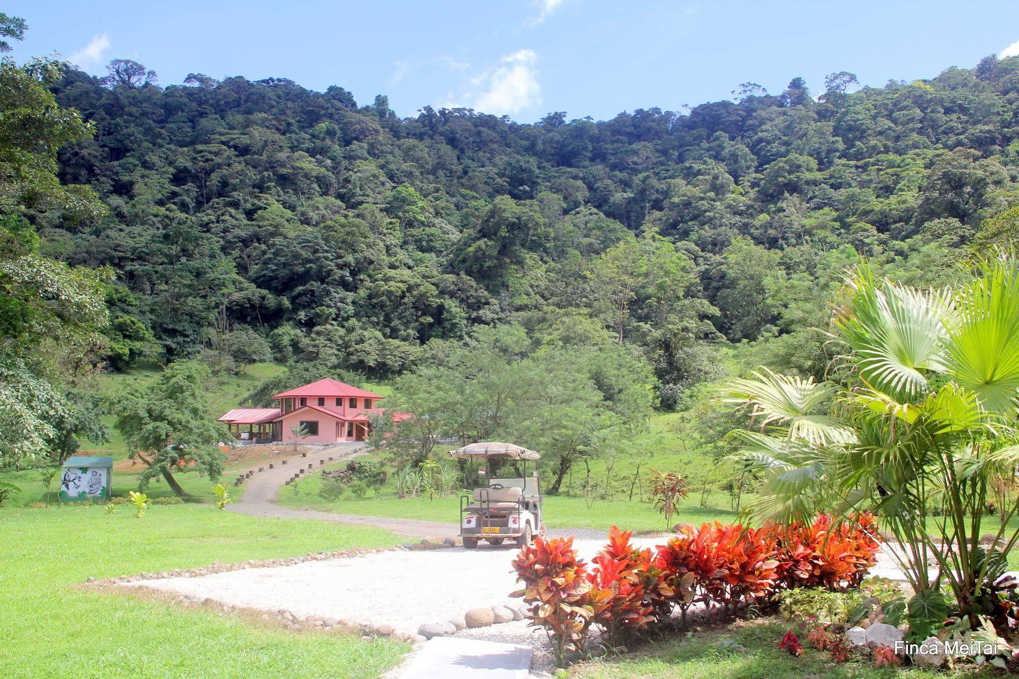 Mei Tai Cacao Lodge Bijagua Bagian luar foto