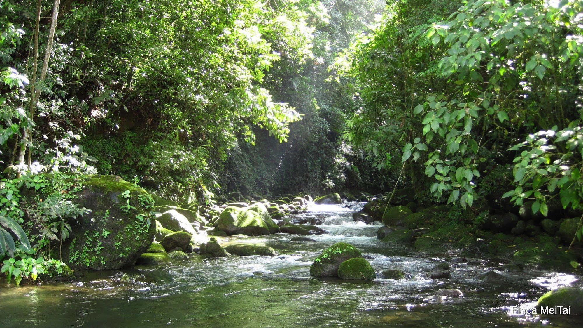 Mei Tai Cacao Lodge Bijagua Bagian luar foto