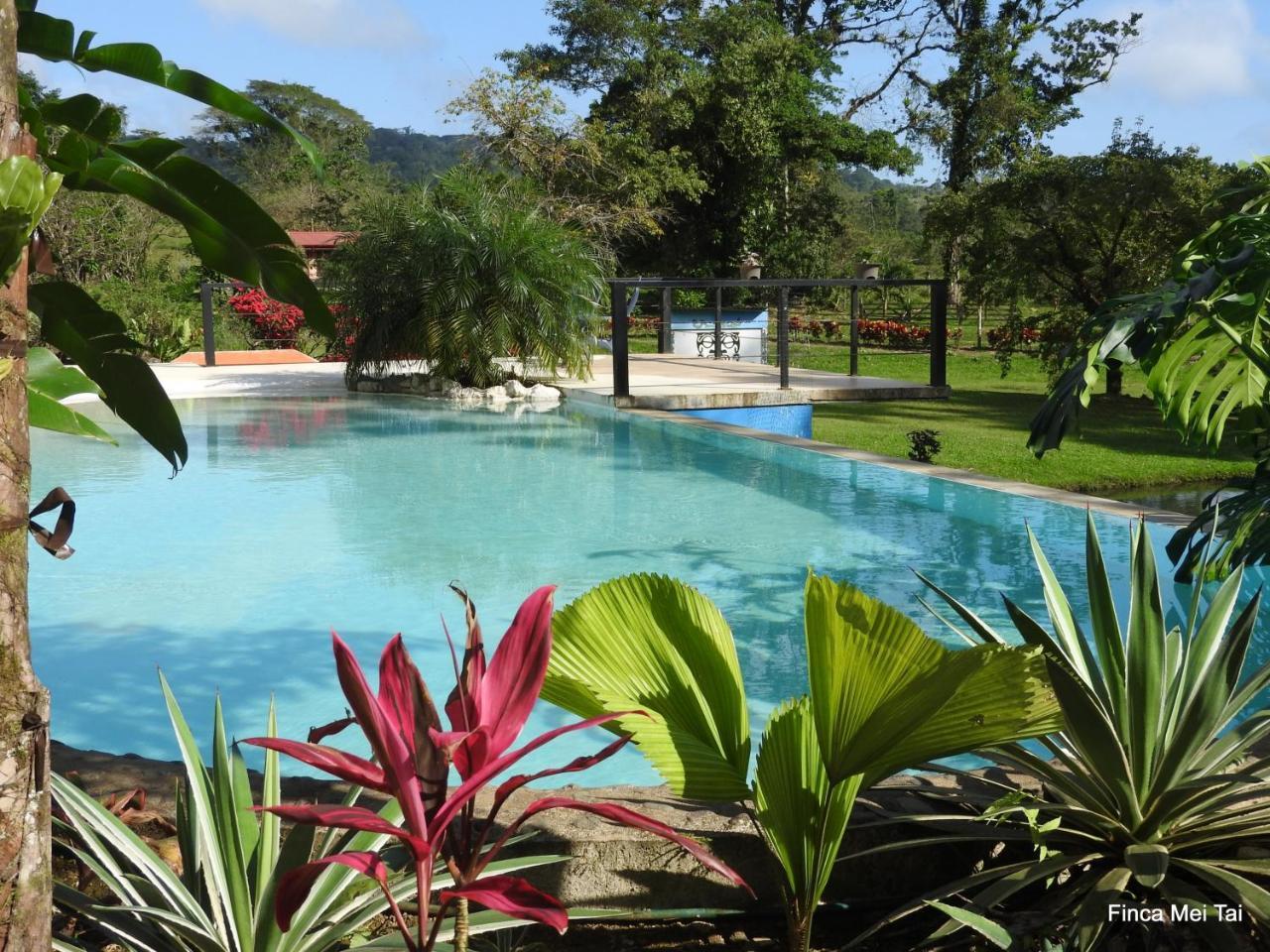 Mei Tai Cacao Lodge Bijagua Bagian luar foto